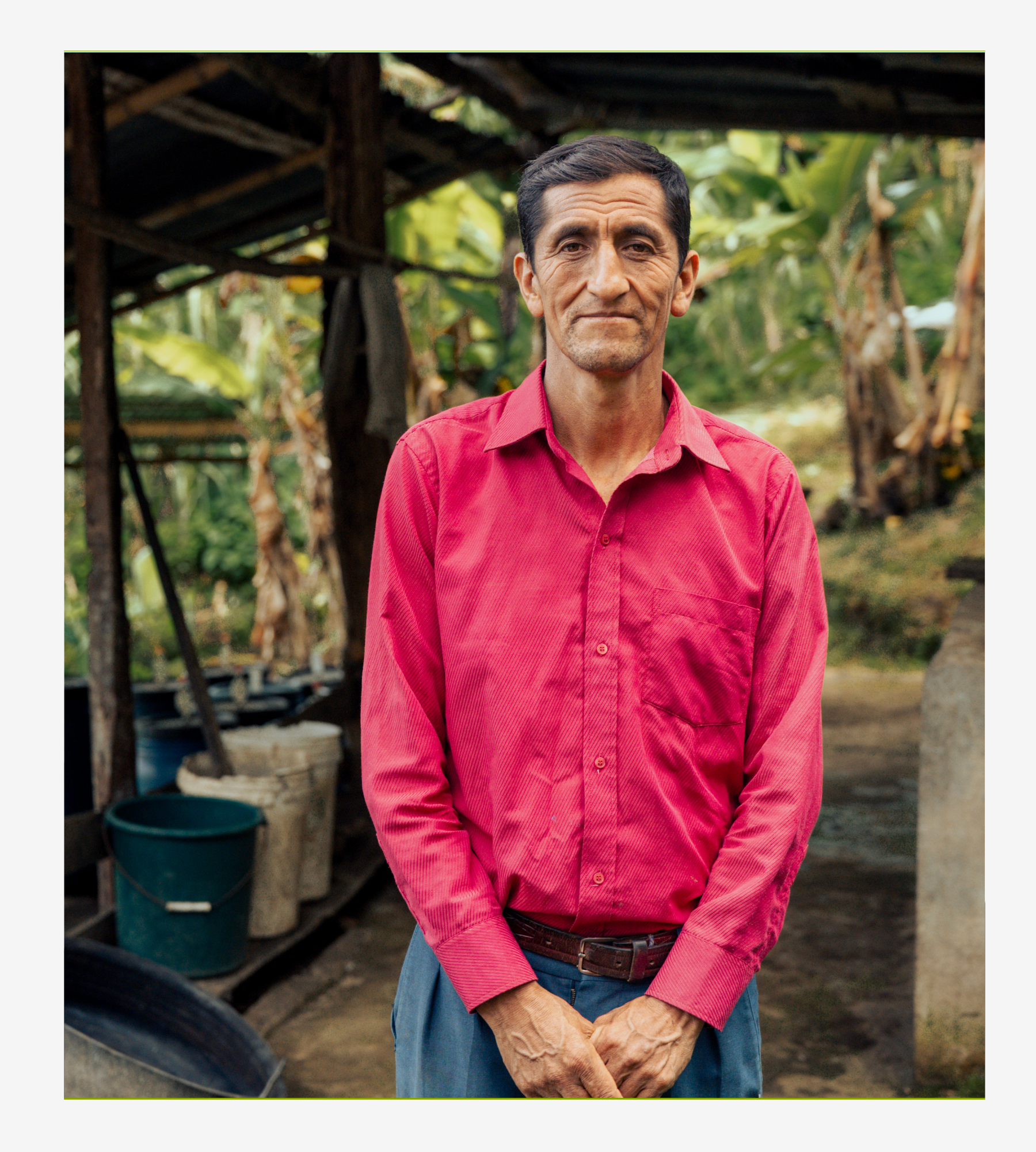 Geisha - San Ignacio, Cajamarca / Edición Especial.