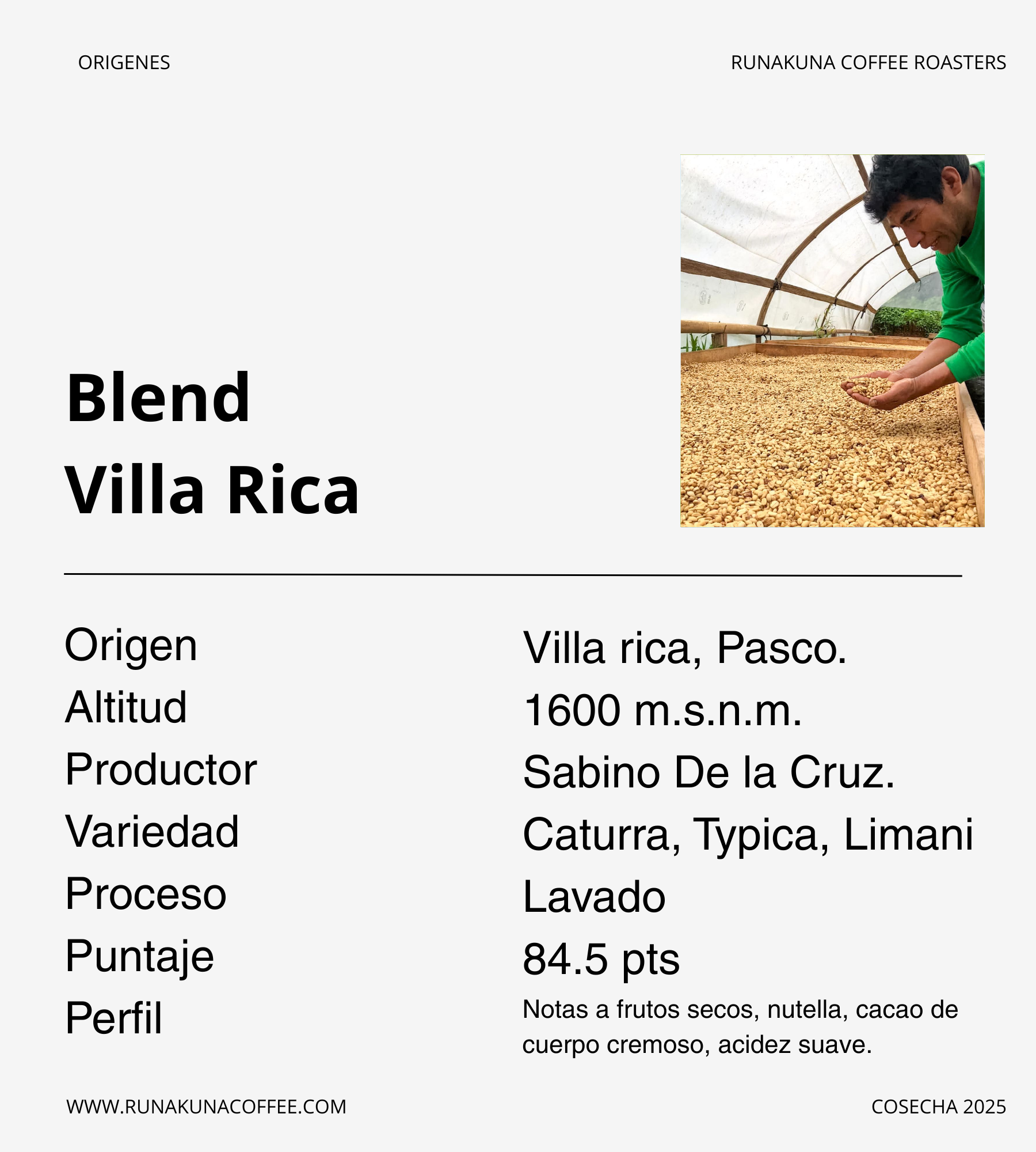 Los Pinos, Villa Rica - Pasco