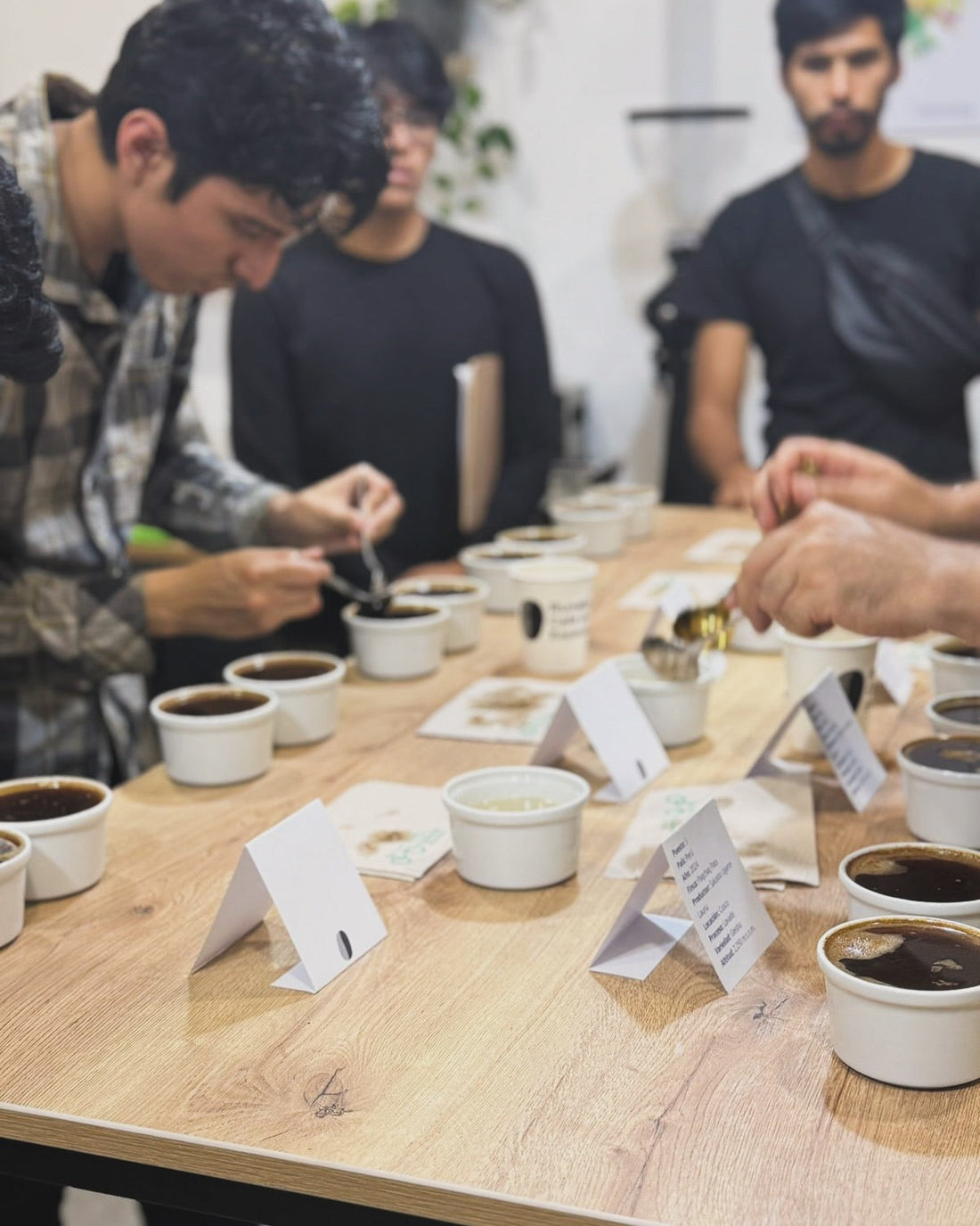 TUVIMOS NUESTRA PRIMERA CATA GRATUITA CON LOS 10 MEJORES CAFÉS DE TAZA DE EXCELENCIA DEL 2024