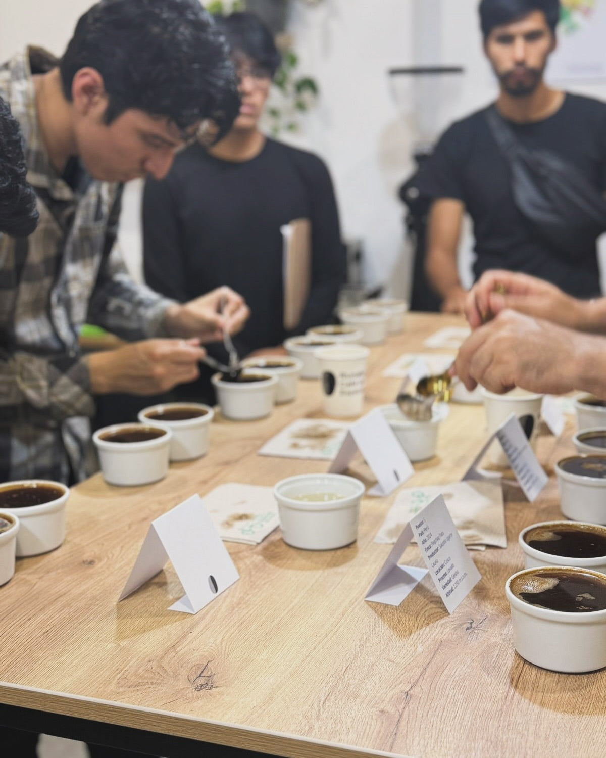TUVIMOS NUESTRA PRIMERA CATA GRATUITA CON LOS 10 MEJORES CAFÉS DE TAZA DE EXCELENCIA DEL 2024
