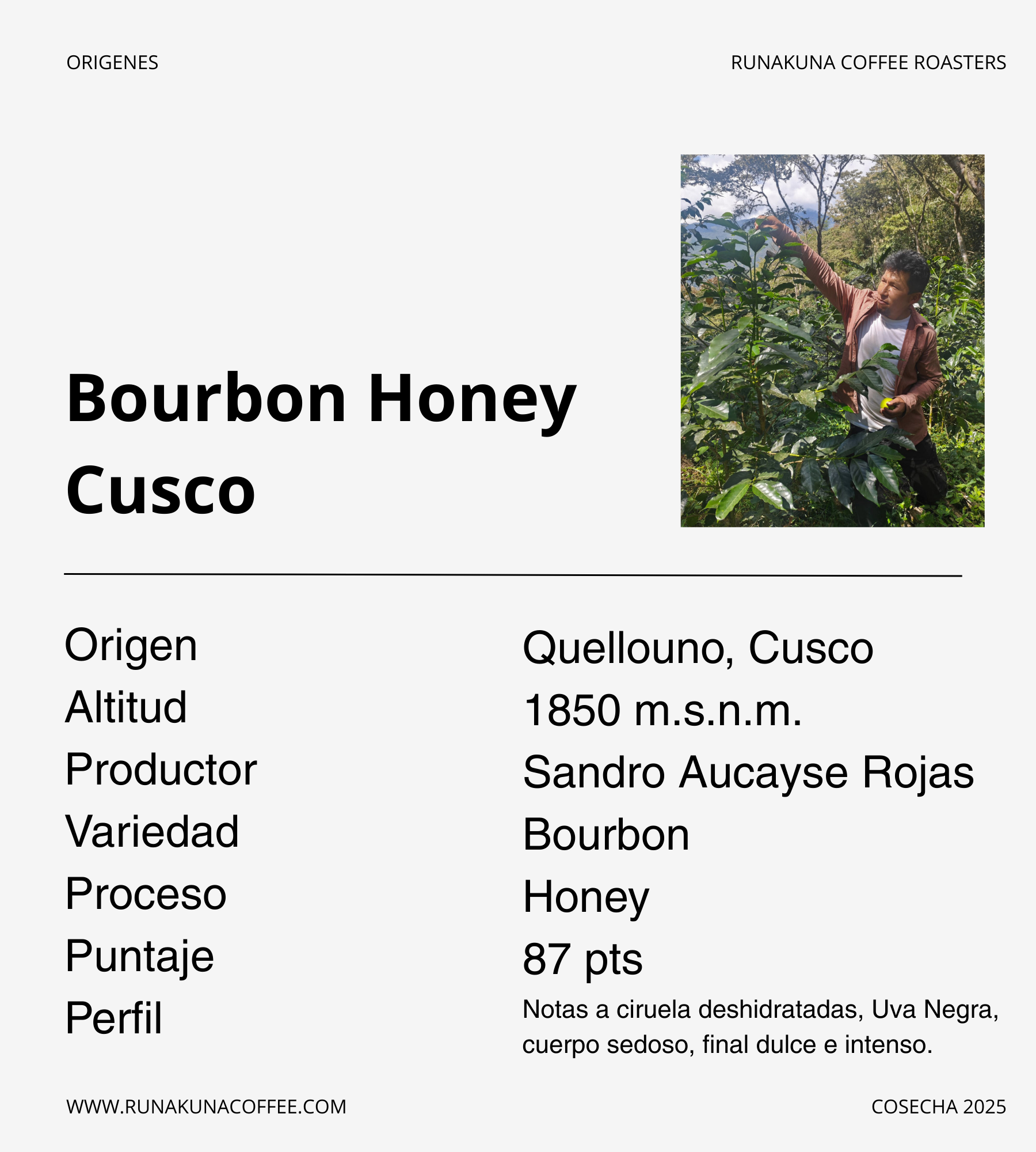 Pack Perfiles - 03 Experiencias de café de especialidad