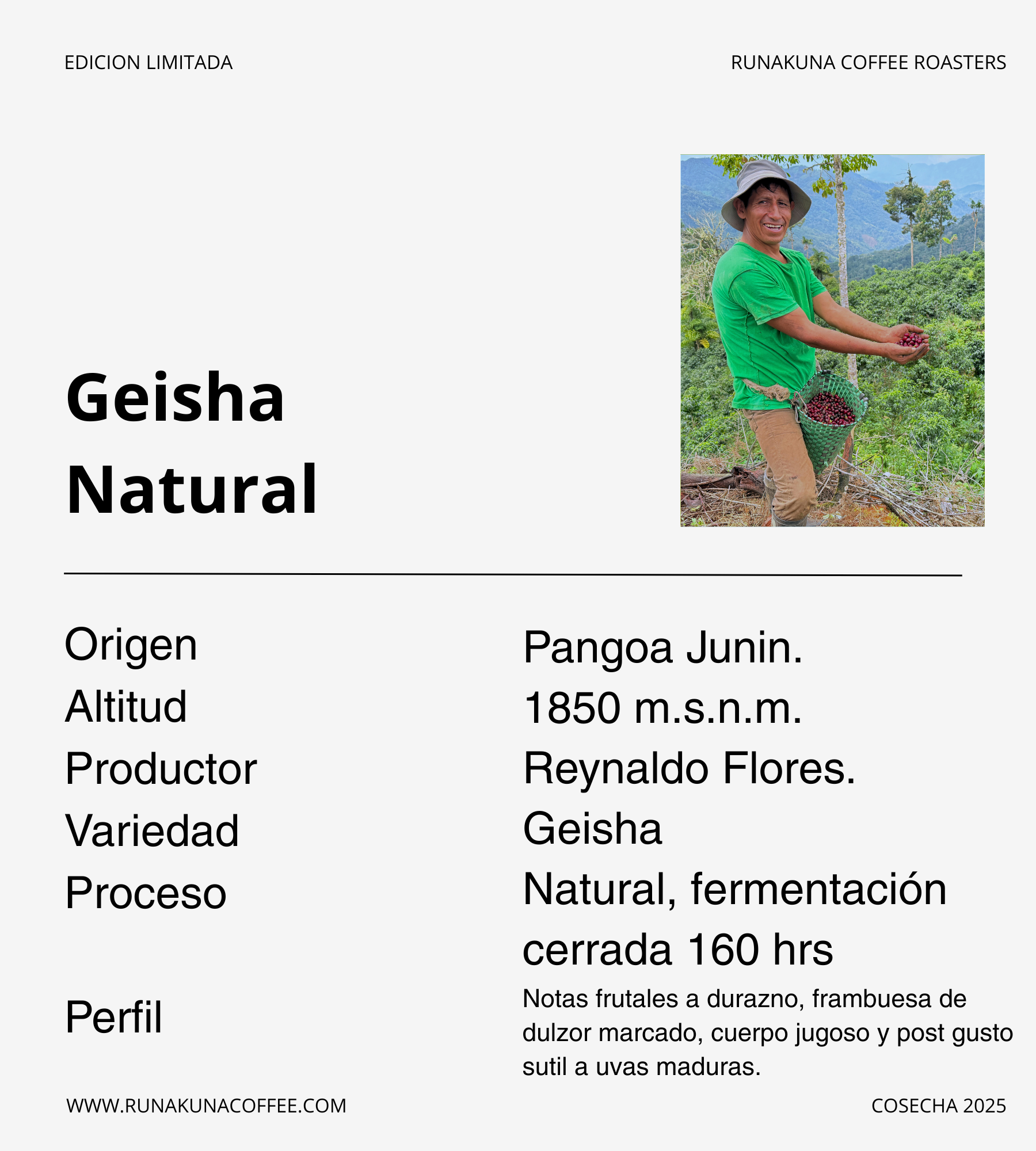 Geisha Natural - Microlote Junín