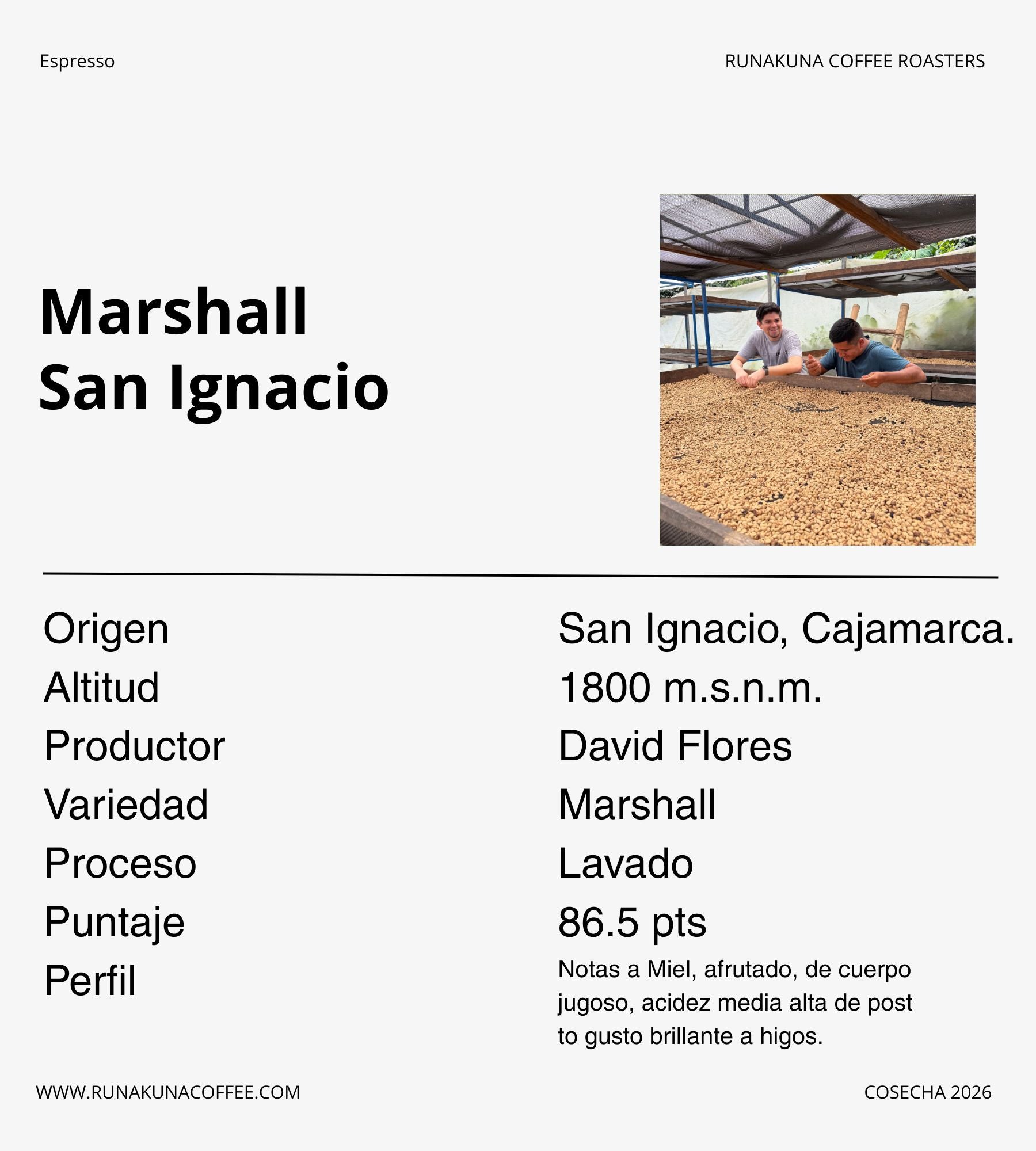 Marshall - David Flores