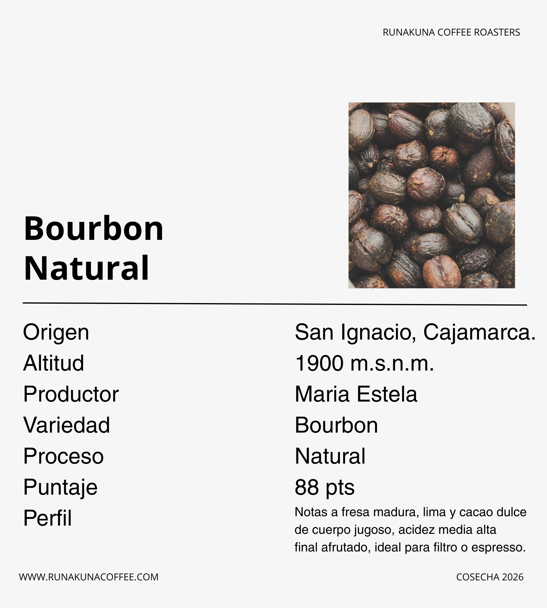 Bourbon Natural, San Ignacio - Cajamarca.