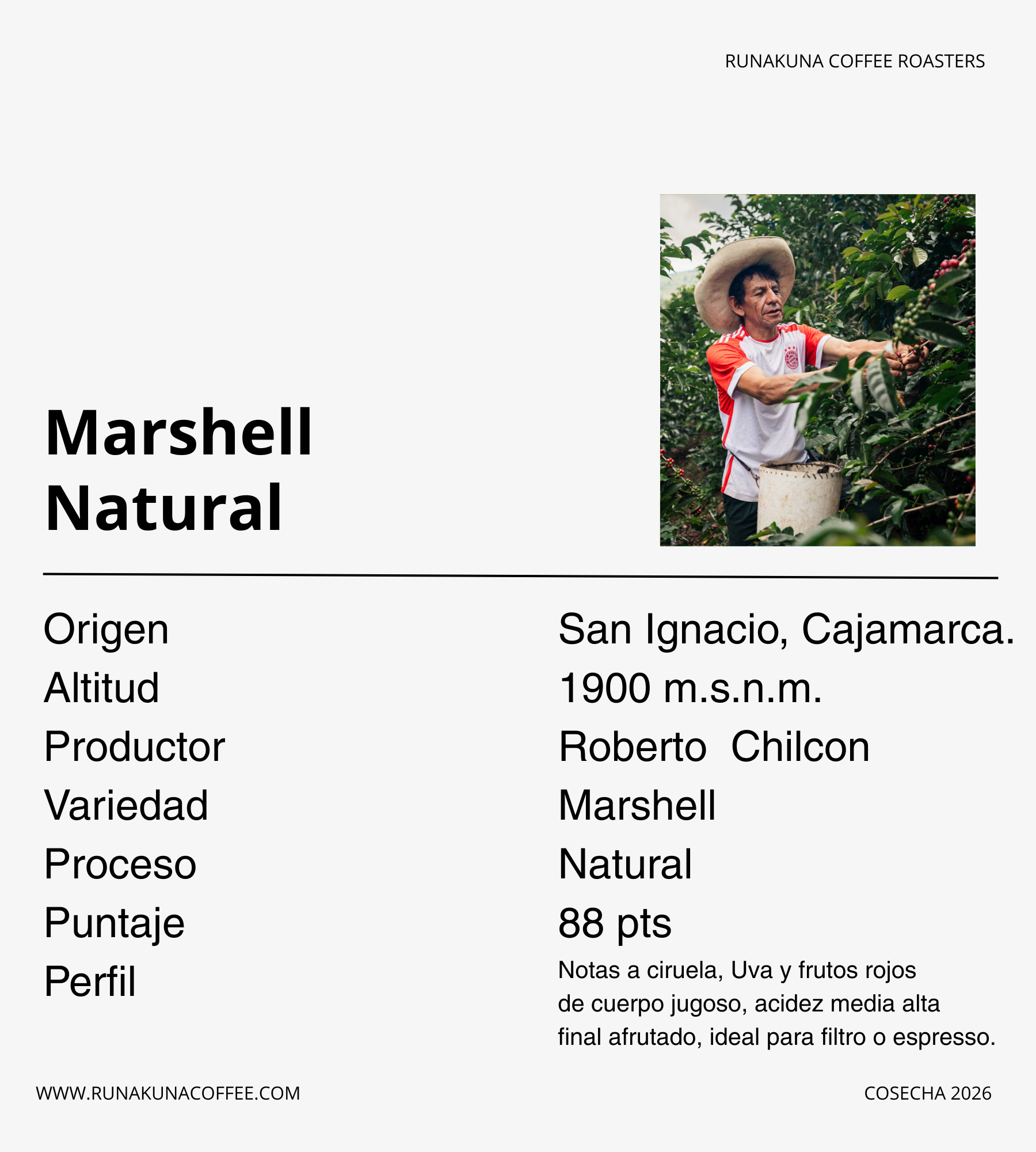 Marshell Natural - Roberto Chilcon, Cajamarca.