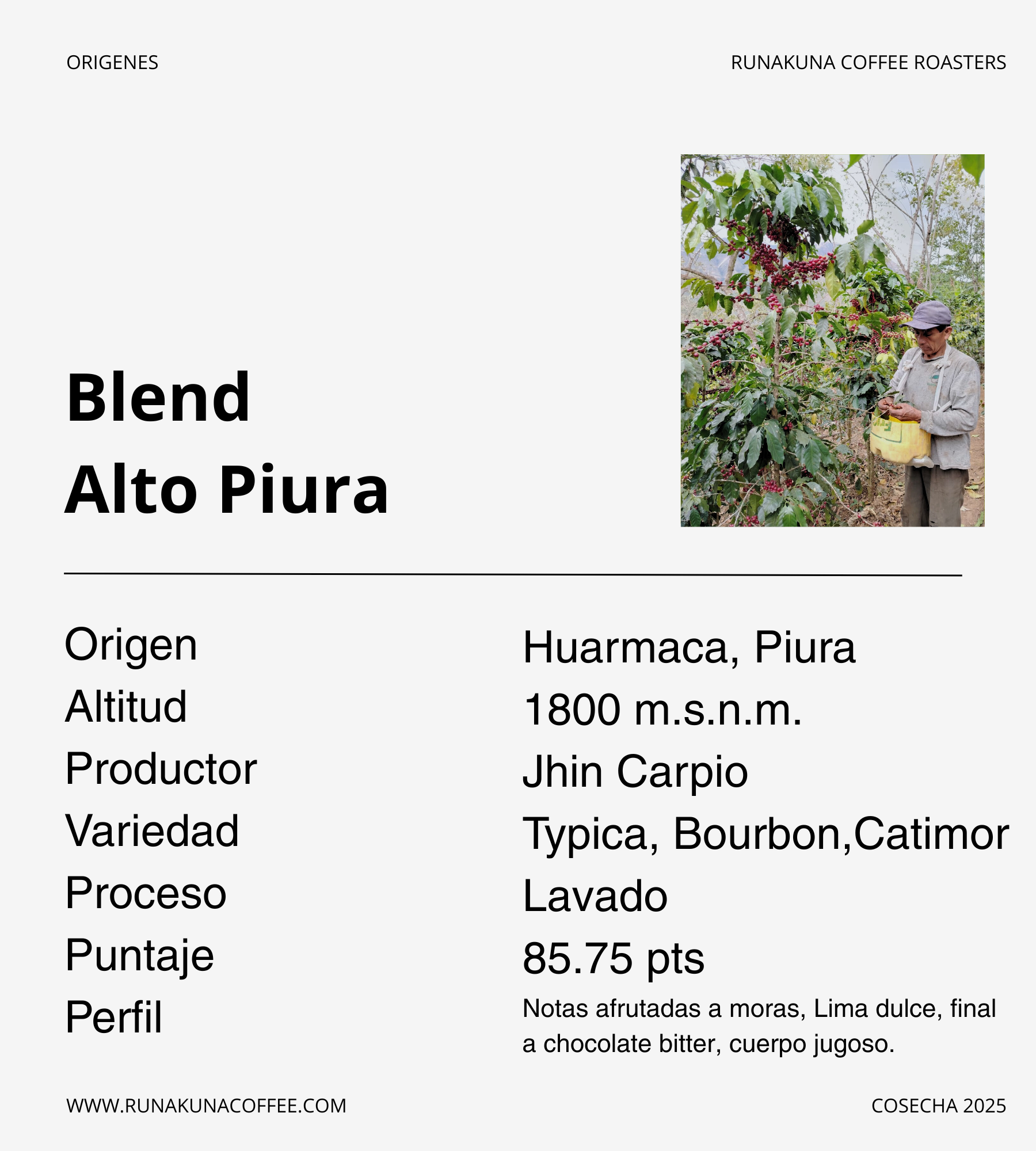 Blend, Huarmarca - Alto Piura.