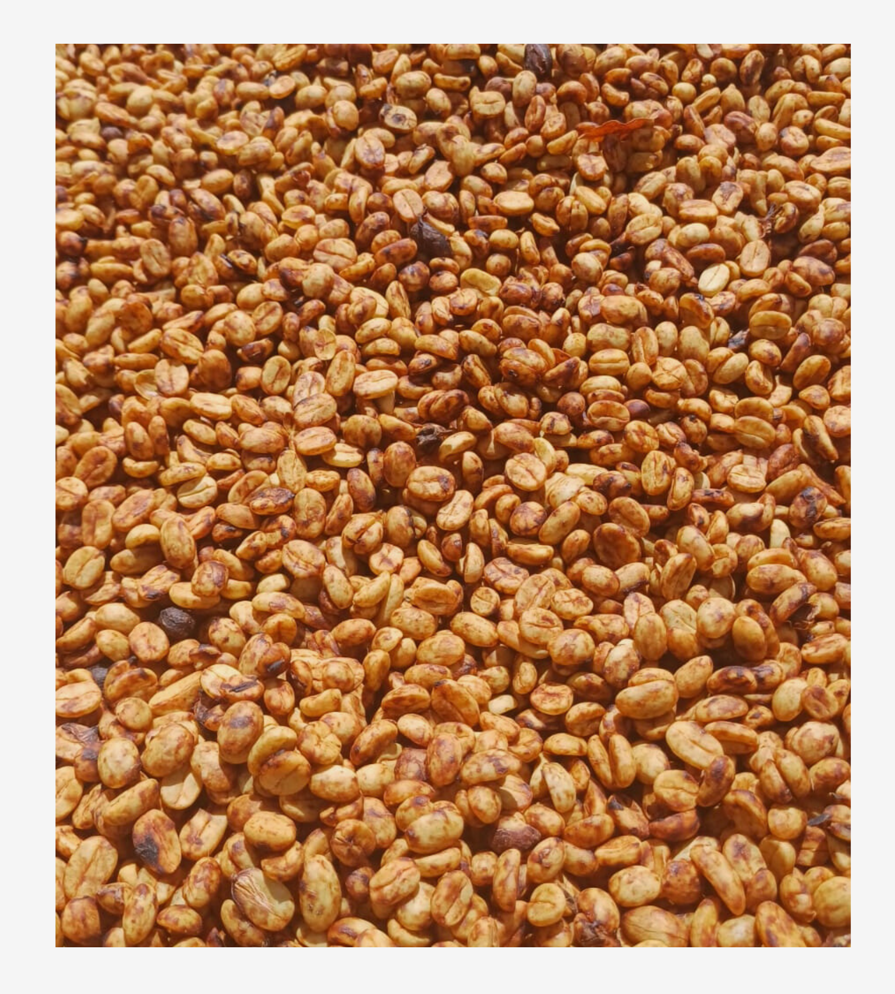 Bourbon Honey, Quillabamba - Cusco.