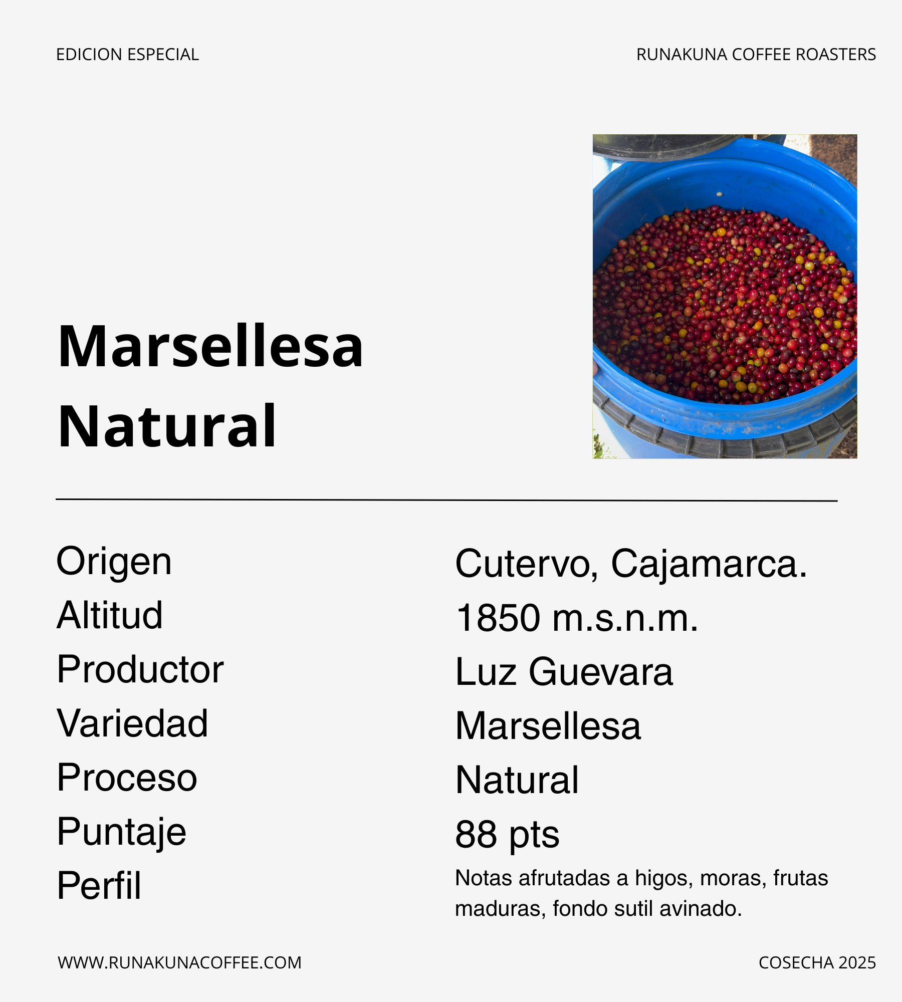 Marsellesa Natural, Cutervo - Cajamarca.