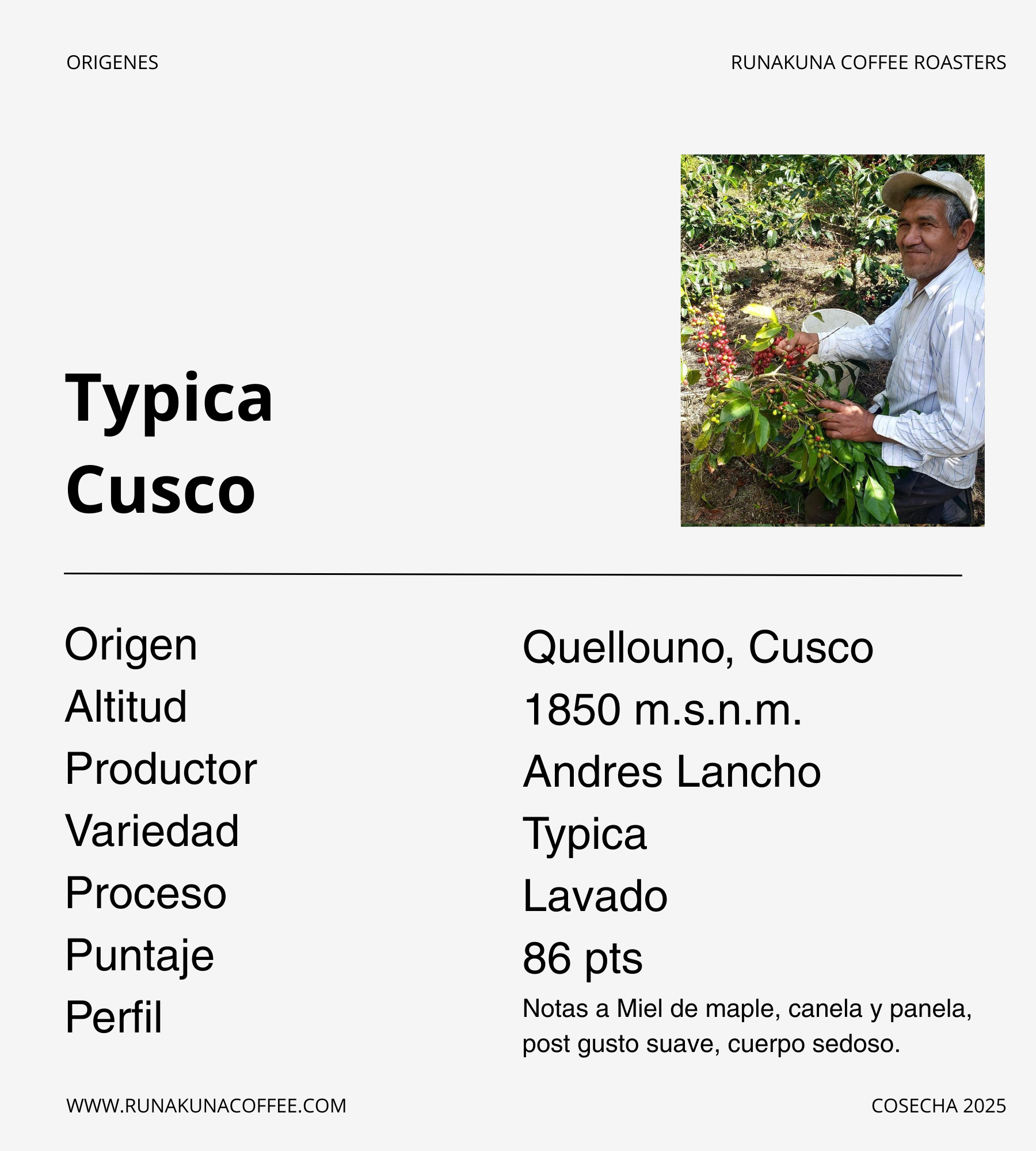 Typica Lavado, La Convención, Cusco.