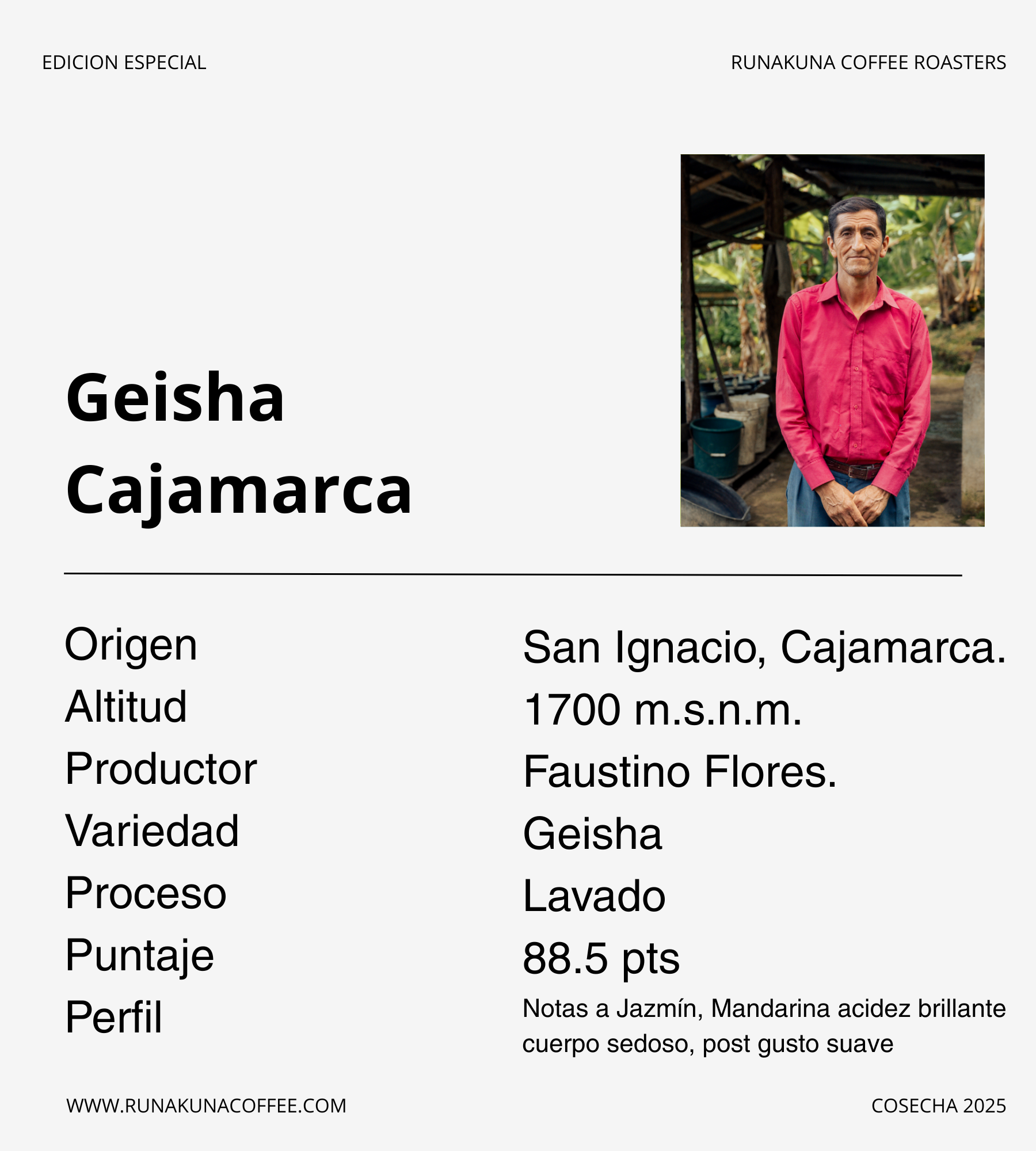 Geisha - San Ignacio, Cajamarca / Edición Especial.