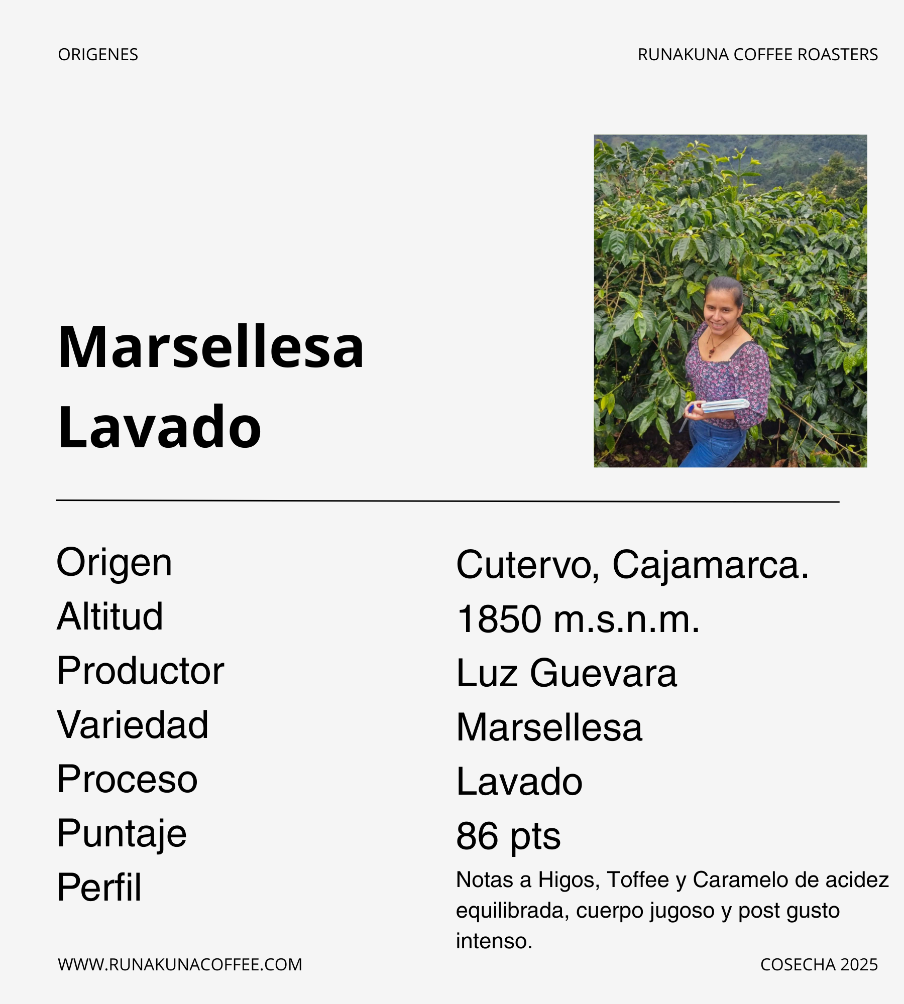 Marsellesa Lavado, Cutervo - Cajamarca.