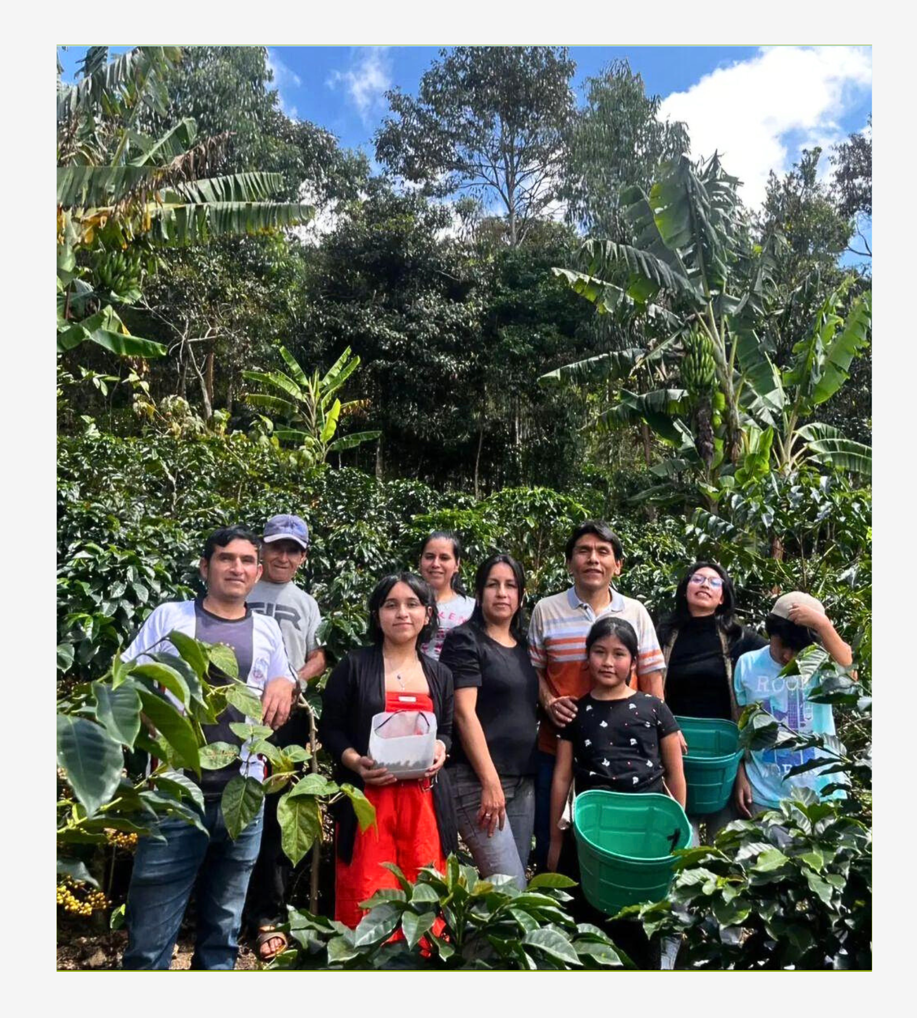 Marsellesa Lavado, Cutervo - Cajamarca.