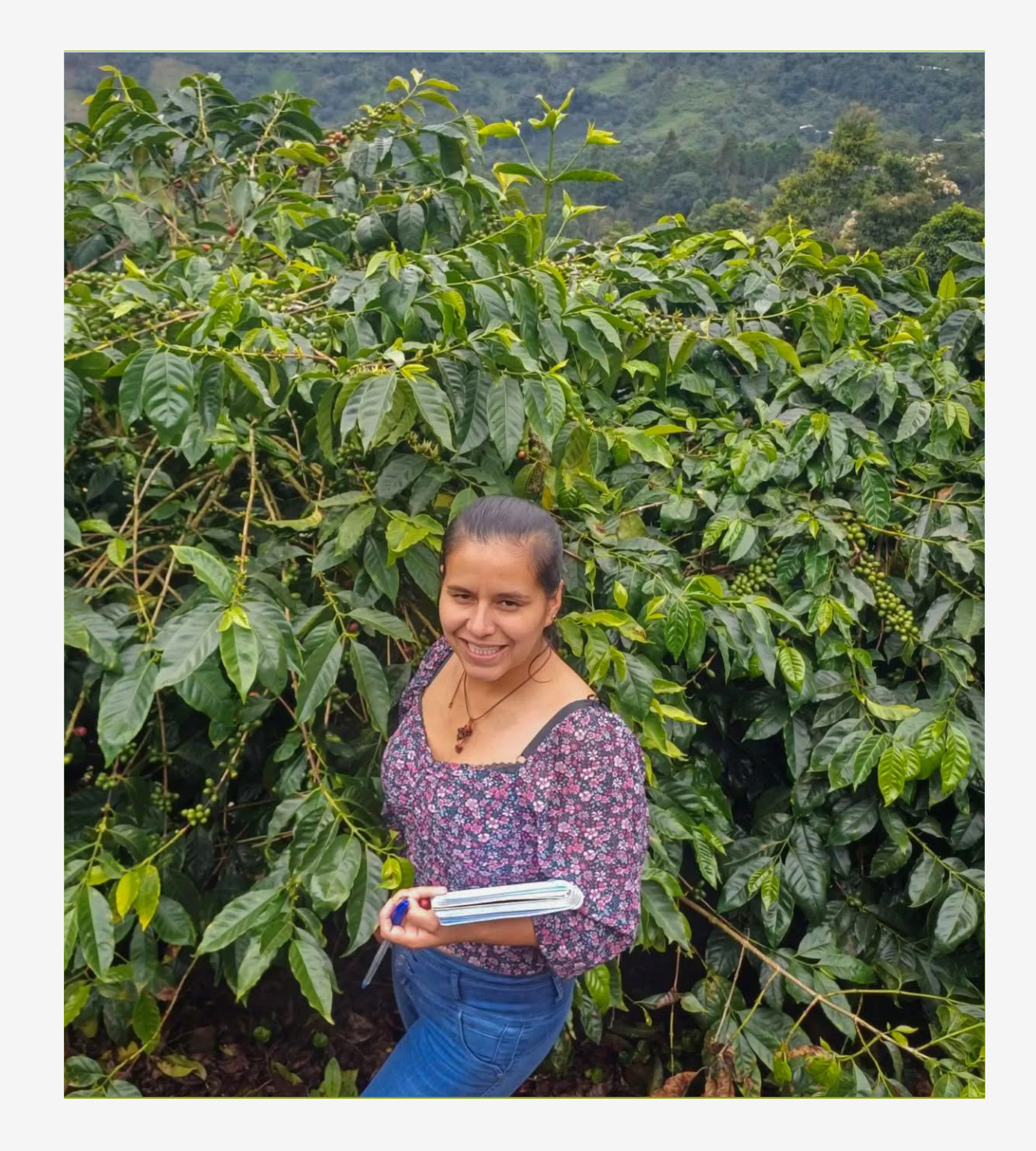 Marsellesa Natural, Cutervo - Cajamarca.