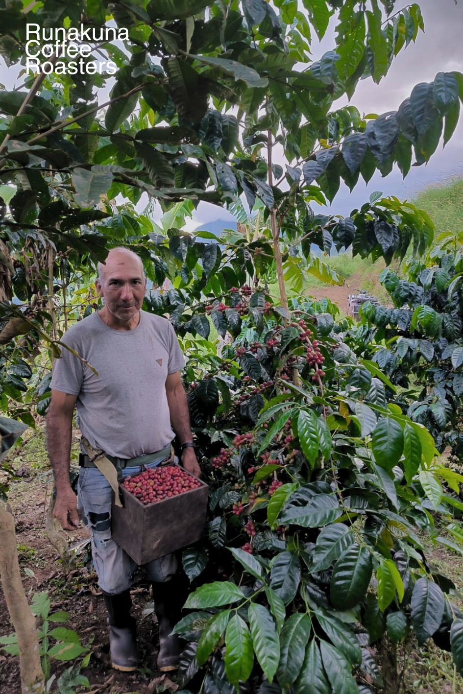 Pacamara Natural - Gregorio Espinoza - Edición Especial