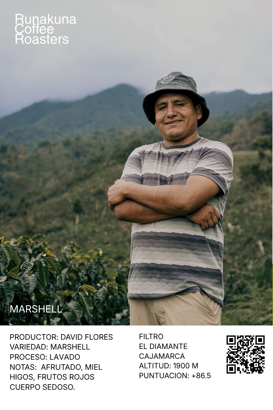 Marshell - David Flores