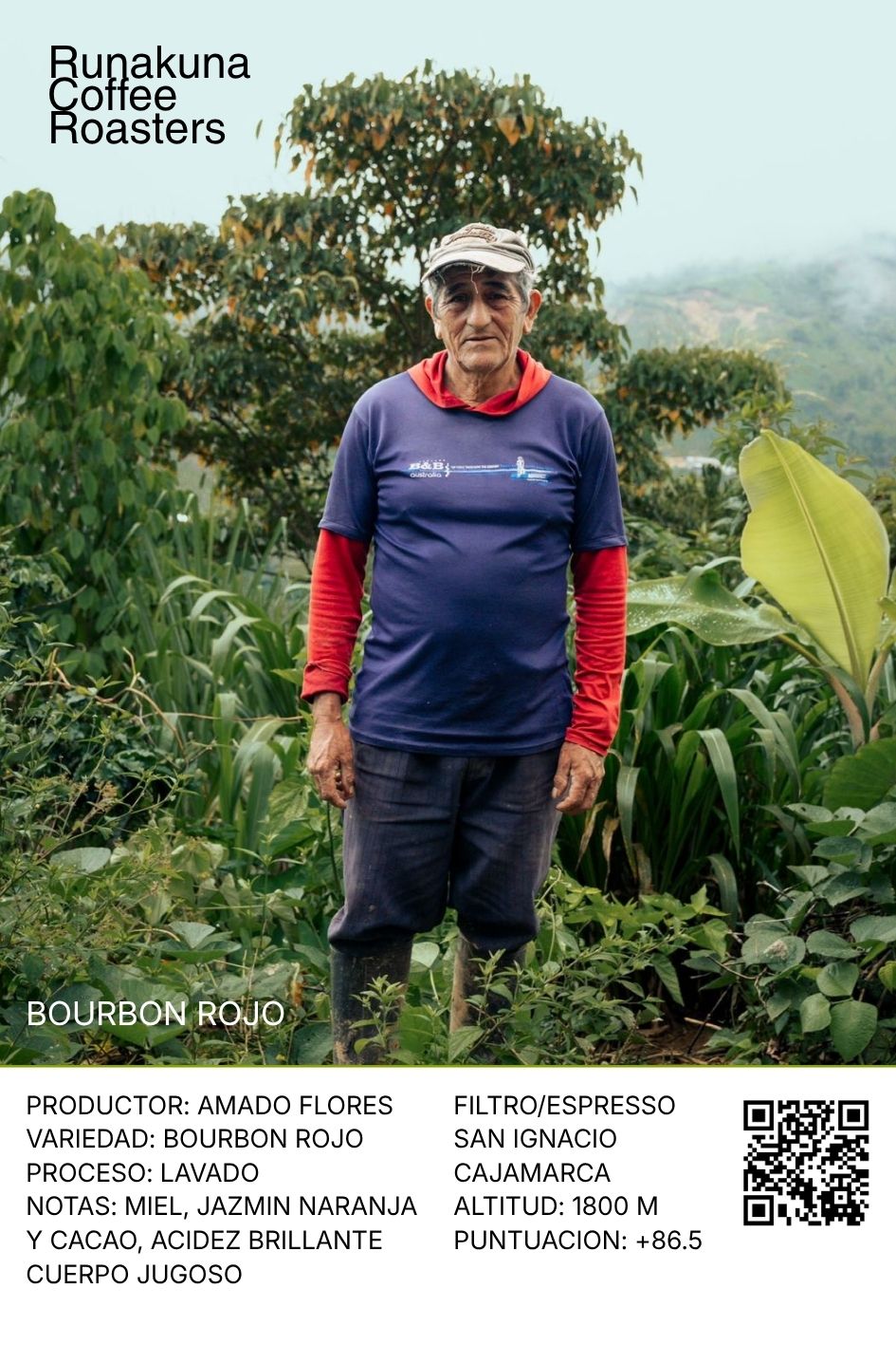 Bourbon Rojo, San Ignacio - Cajamarca.