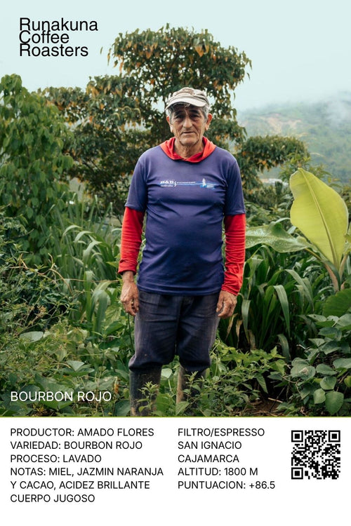Bourbon Rojo, San Ignacio - Cajamarca.