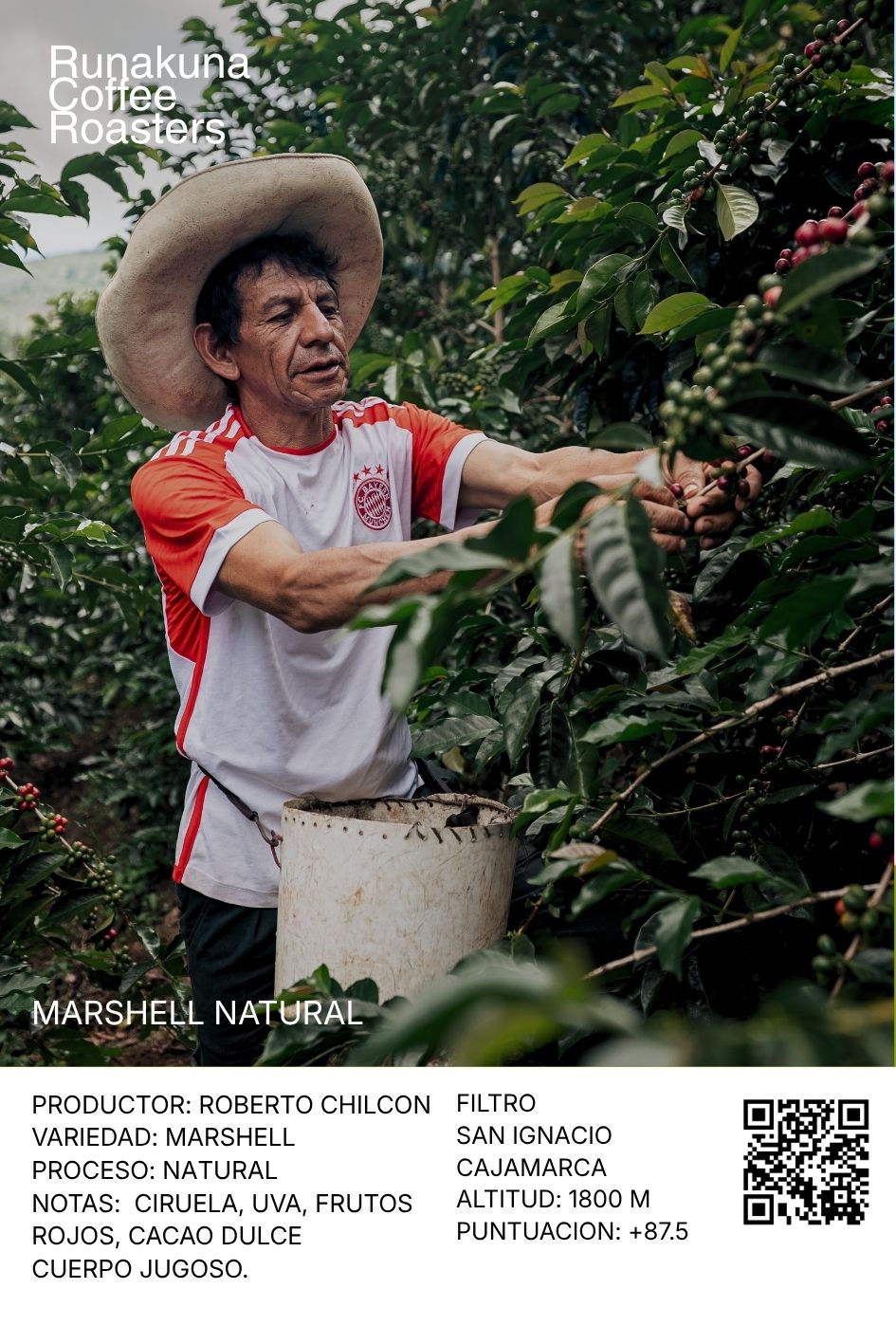 Marshell Natural - Roberto Chilcon, Cajamarca.