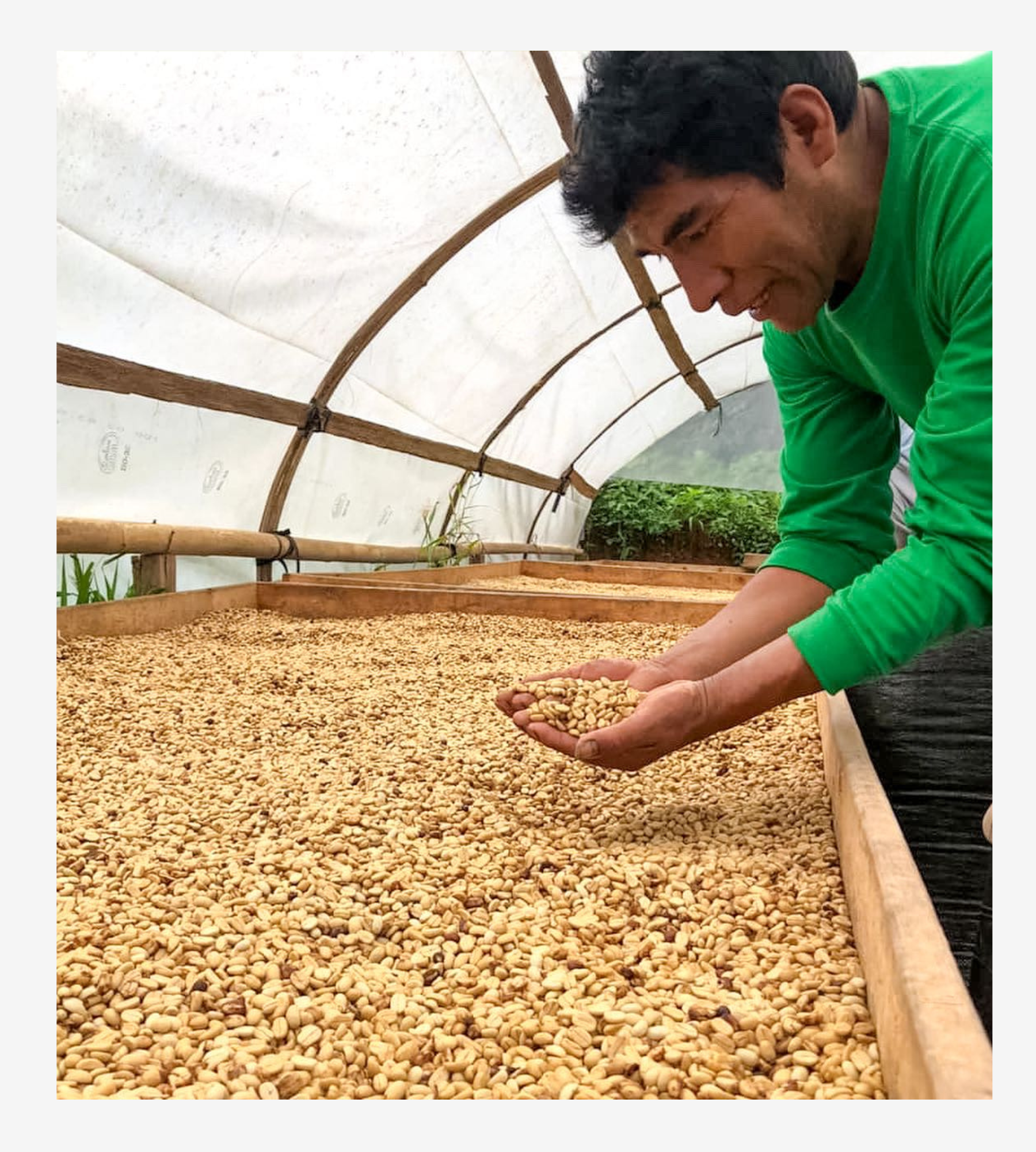 Los Pinos, Villa Rica - Pasco