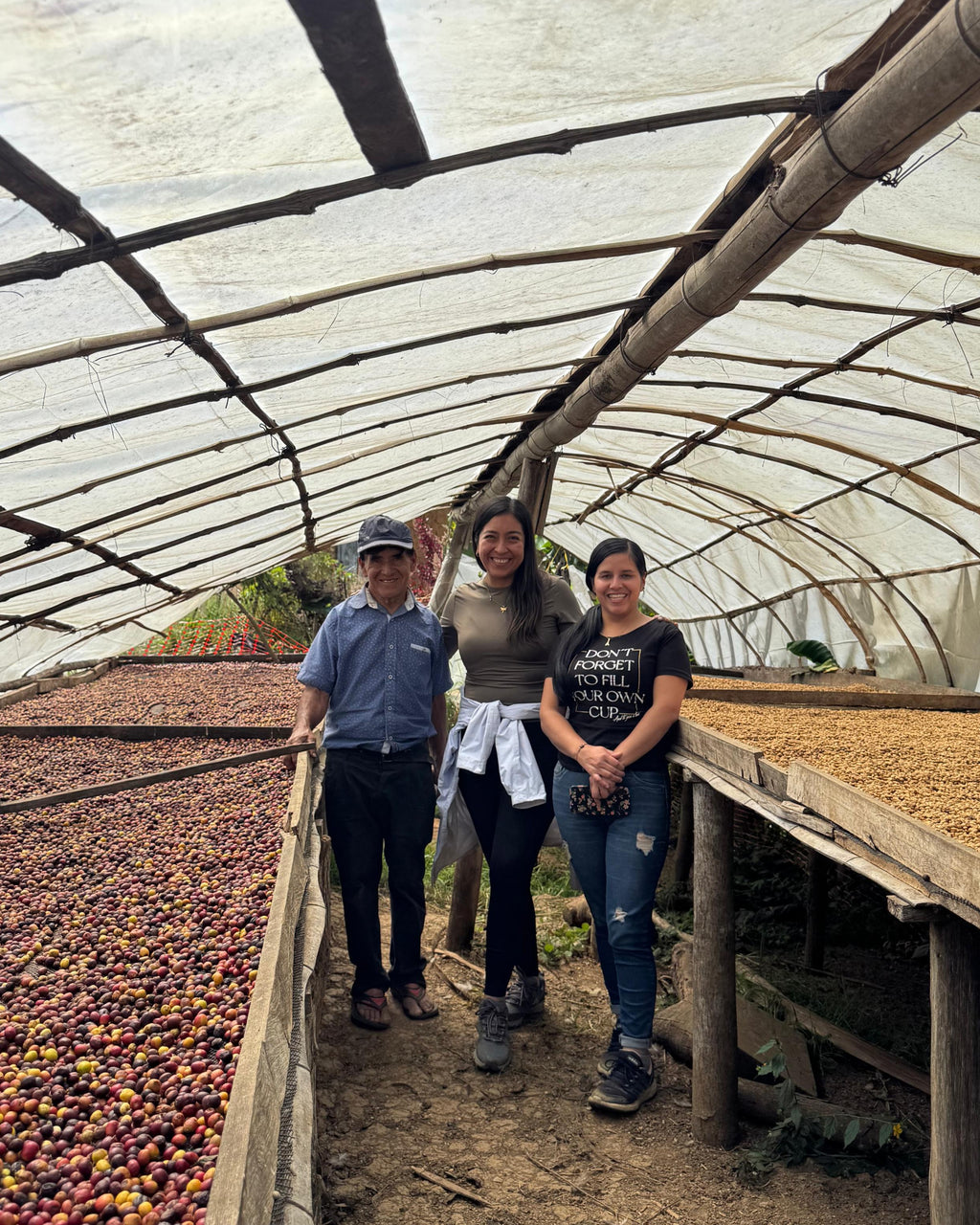 Marsellesa Lavado, Luz Guevara , Cutervo - Cajamarca.