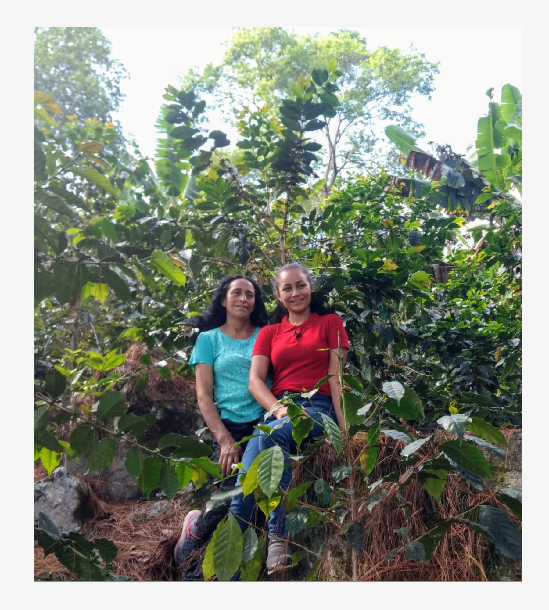 Tabi Lavado, Jaén Cajamarca.